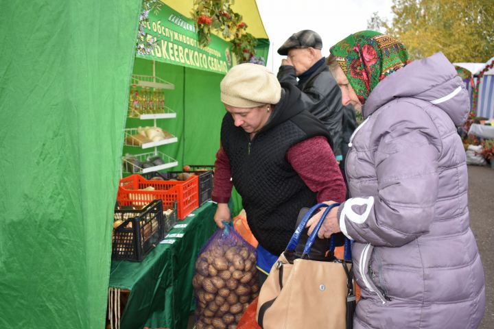 В Казани горожане рады кайбицкой сельхозпродукции