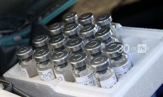 Вирусолог: Опасность коронавируса в тысячи раз выше рисков, связанных с вакциной