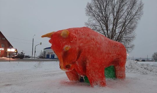 Самый большой бык в России живет в Татарстане