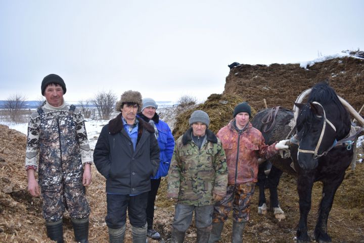 В хозяйствах Кайбицкого района продолжается зимовка скота