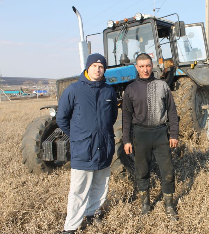 На полях Кайбицкого района продолжаются весенние полевые работы