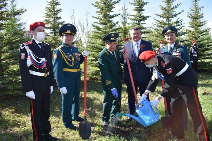 В День Победы в Аллее Героев в Кайбицах посадили дубы