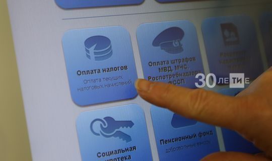 В РТ около 40 тыс. заявок поступило в «Народный контроль»