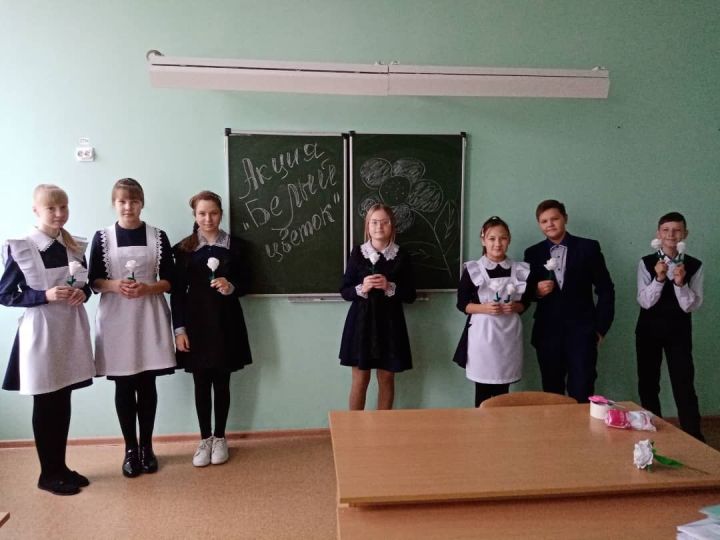 В  школах Кайбицкого района в последние дни перед каникулами провели уроки милосердия