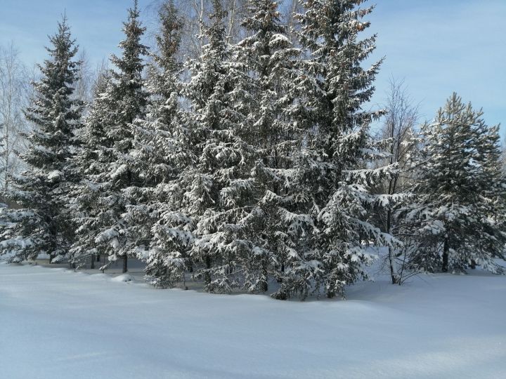 Гидрометцентр: В Татарстане похолодает до -32 градусов