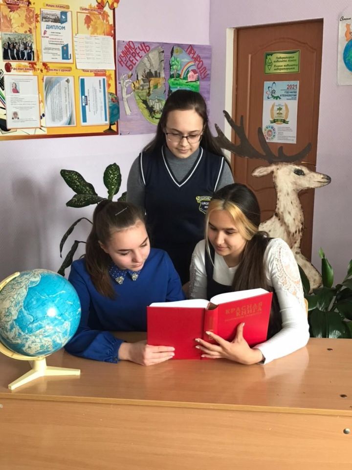Экология - одна из актуальных тем  в Федоровской школе