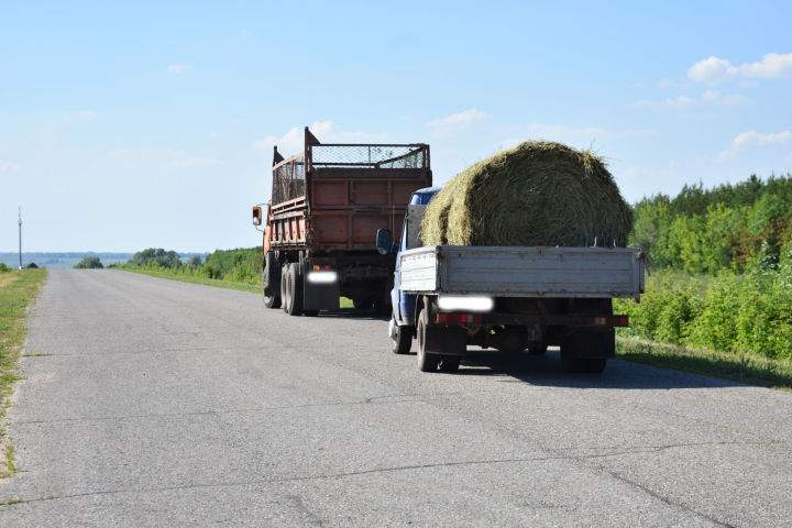 В Кайбицком районе за хищение кормов накажут в соответствии с законом