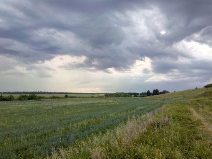 В Татарстане ожидаются дожди с грозами и сильный ветер