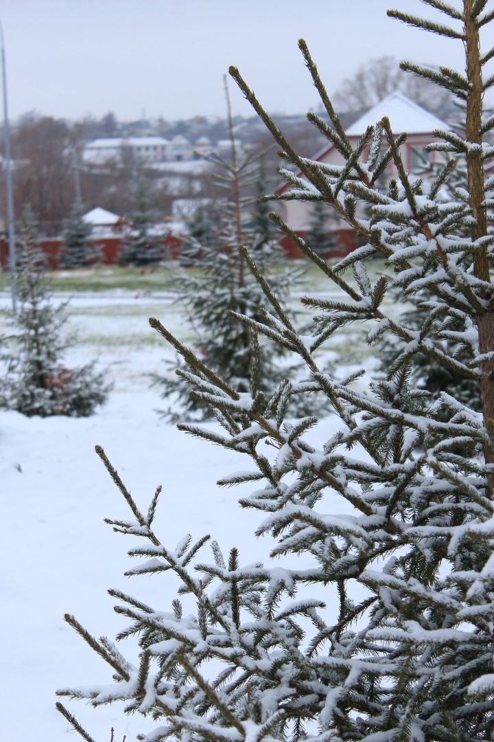 В Татарстане ожидается небольшой снег и до 10 градусов мороза