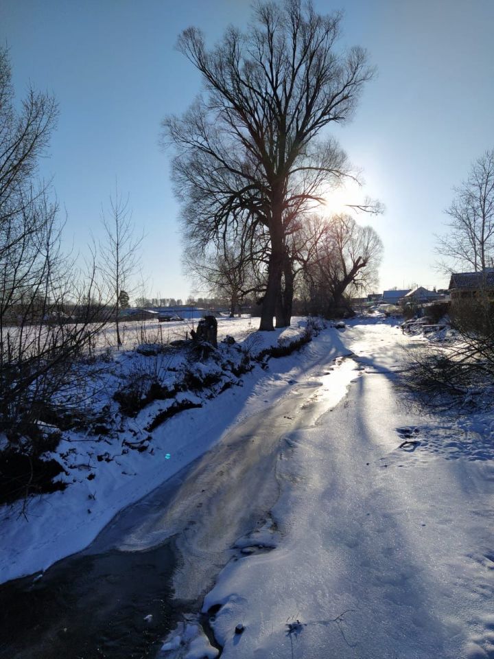 Метеоролог КФУ: В Татарстане снег должен растаять к середине апреля