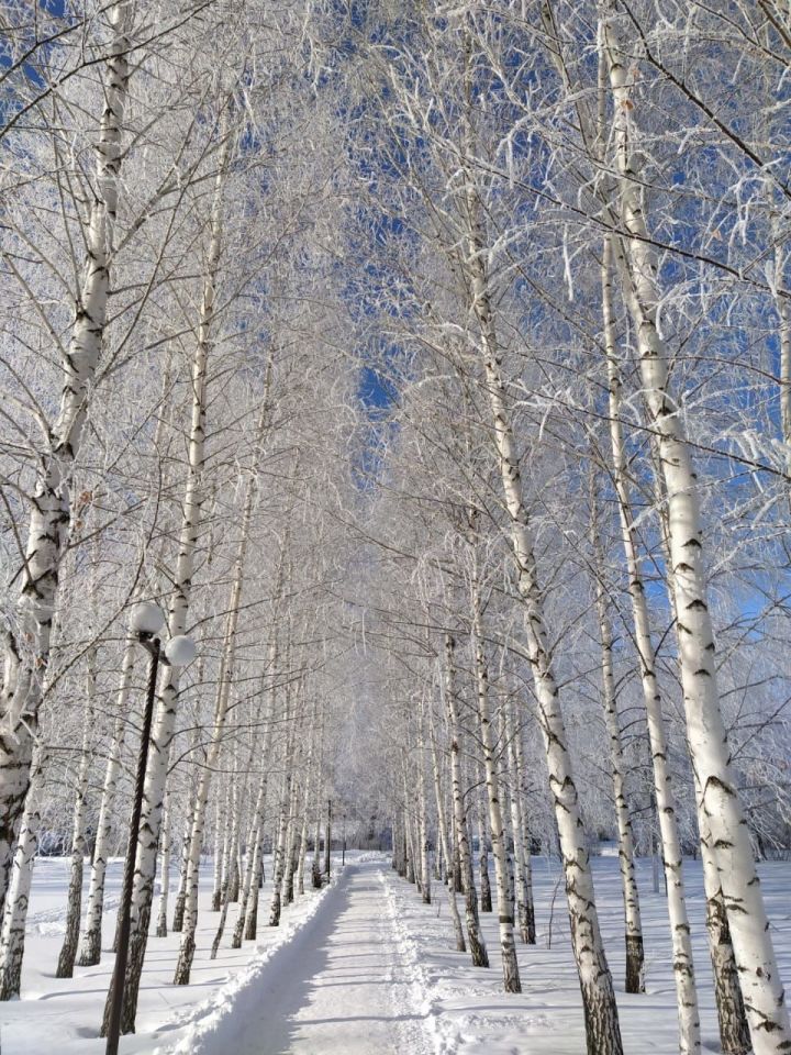 В Татарстане ночью ожидается до 27 градусов мороза