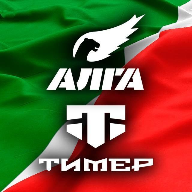 В РТ появился Telegram-канал именных батальонов «Алга» и «Тимер»