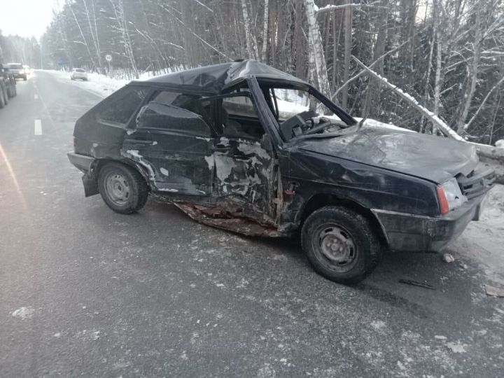 В Татарстане легковушка сбила лося на трассе, после удара ее отбросило на встречное авто