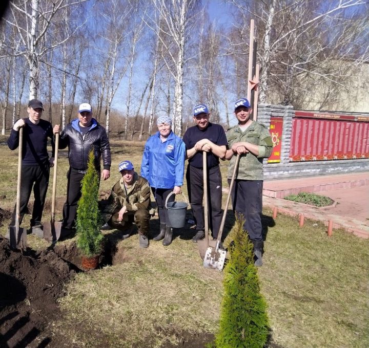 В Уляьнкове в честь односельчанина Олега Уткина, погибшего в спецоперации, посадили туи