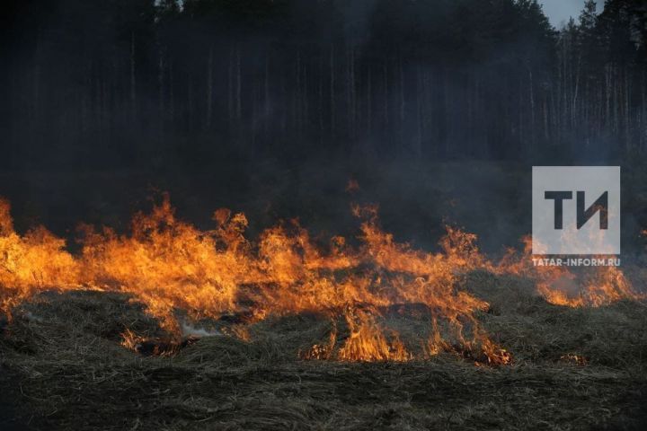 Из-за высокой пожароопасности в РТ продлен противопожарный режим