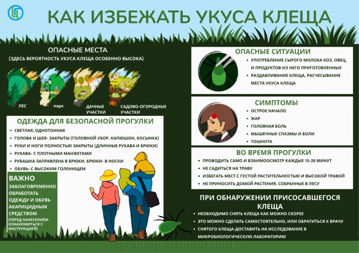 Клещевой вирусный энцефалит и меры его профилактики