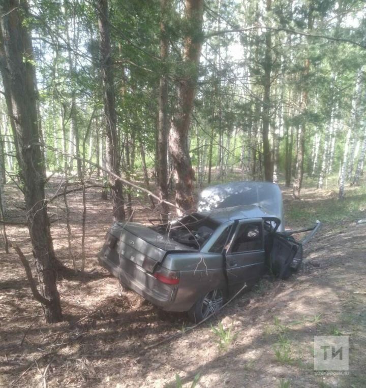 В Лаишевском районе РТ водитель легковушки погиб, врезавшись в дерево
