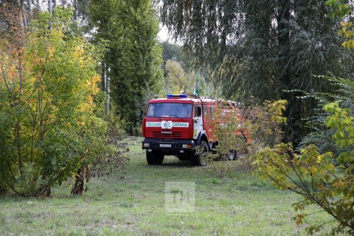 В Татарстане по нацпроекту «Экология» возводятся дороги для лесопожарных автомобилей