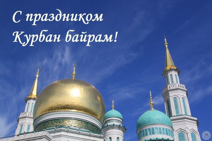 Александр Иванов, генеральный директор общества «Август-Кайбицы»: