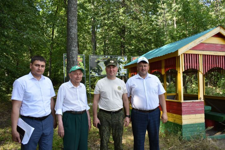 Лесам Татарстана угрожает непарный шелкопряд