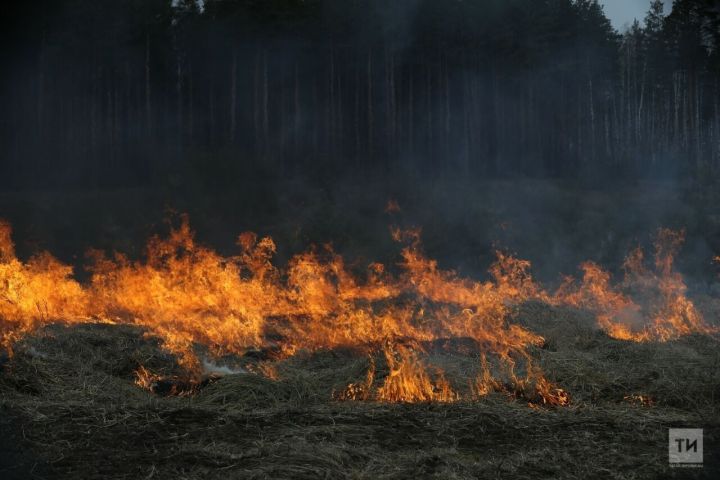 Из-за высокой пожароопасности лесов в Татарстане вновь объявили штормовое предупреждение