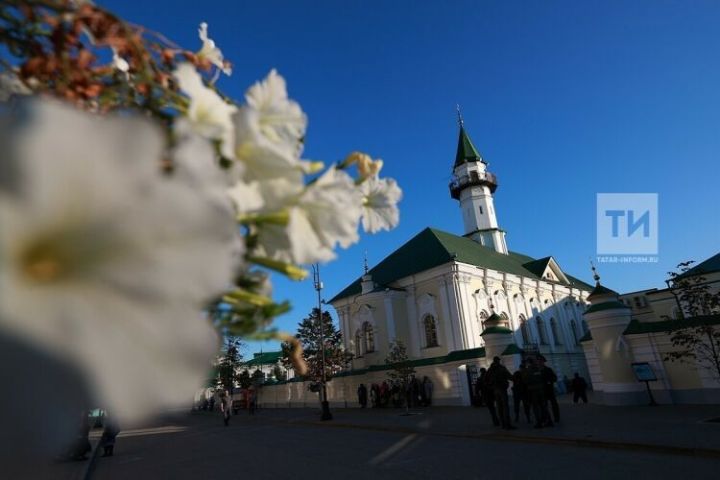 Самую высокую мечеть в РФ построят в Дагестане