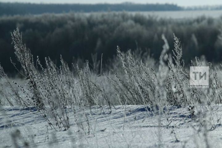 АПК: В Татарстане снегом покрыто до 95% полей за первые недели зимы