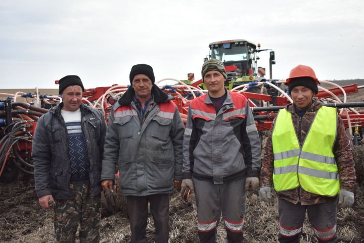 «Август-Кайбыч» җәмгыяте игенчеләре сабан культуралары чәчә башлады
