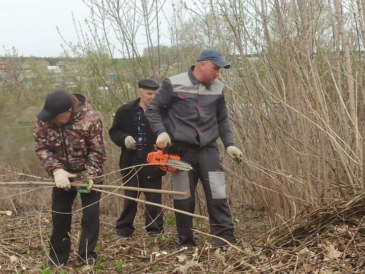 На кладбище в Больших Кайбицах прошел субботник