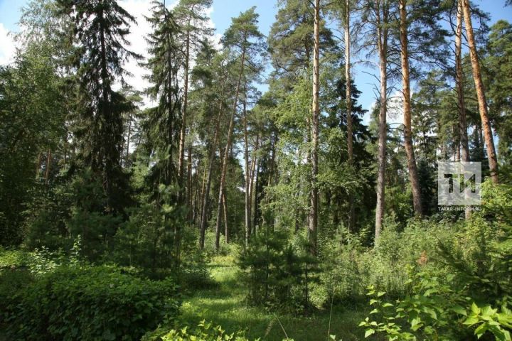 В Татарстане объявлено штормовое предупреждение