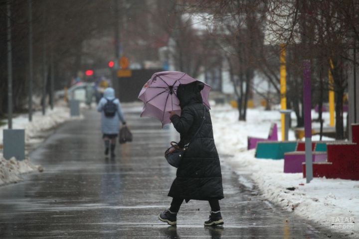 В Татарстане пройдет дождь, воздух прогреется до 15 градусов тепла