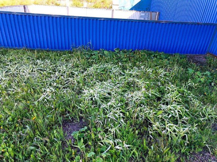 Жителям Татарстана рассказали, надолго ли вернулось потепление в республику