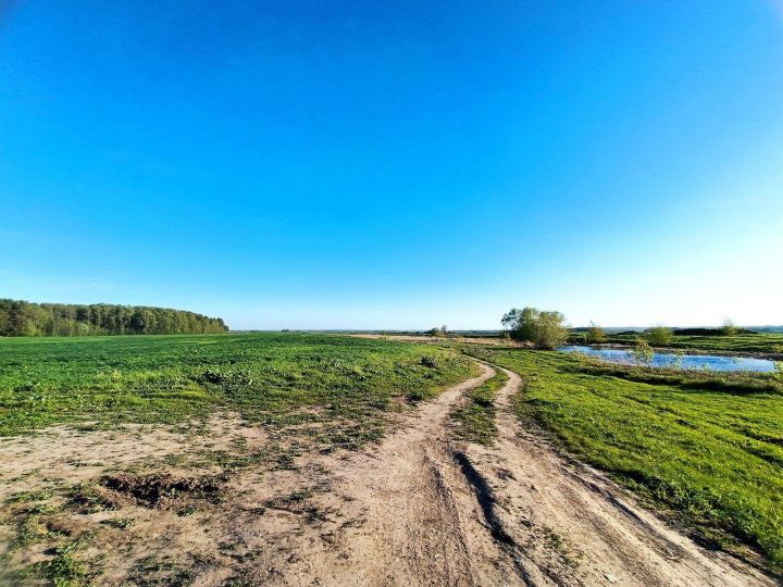 В последний день весны в Татарстане ожидается до +29 при дождях и грозах