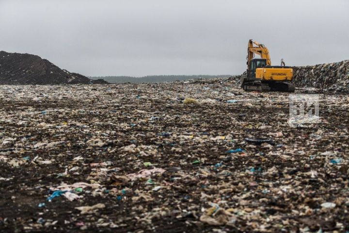Директора молочной фирмы из РТ оштрафовали за незаконную добычу воды и свалку