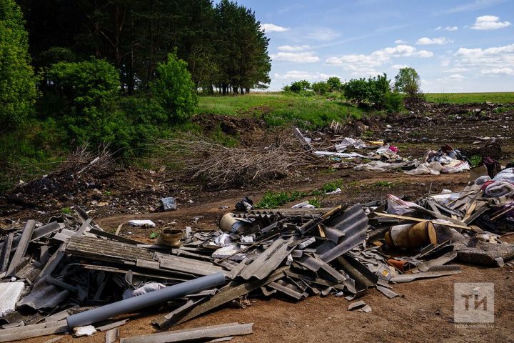 Татарстанцы подали более 6 тысяч жалоб экологам в 2024 году