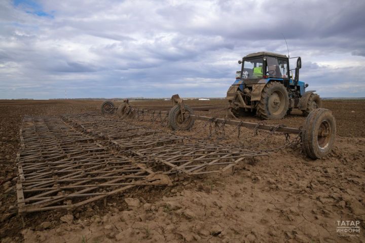 Фермера из Актанышского района наказали за использование агрохимикатов