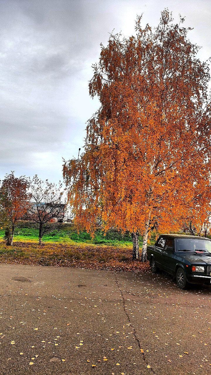В Татарстане 15 октября ожидается облачная погода, местами небольшой дождь
