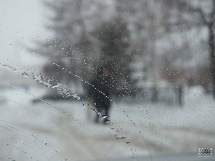 Автоэксперт предупредил, что частая очистка наледи пластиком повреждает лобовое стекло