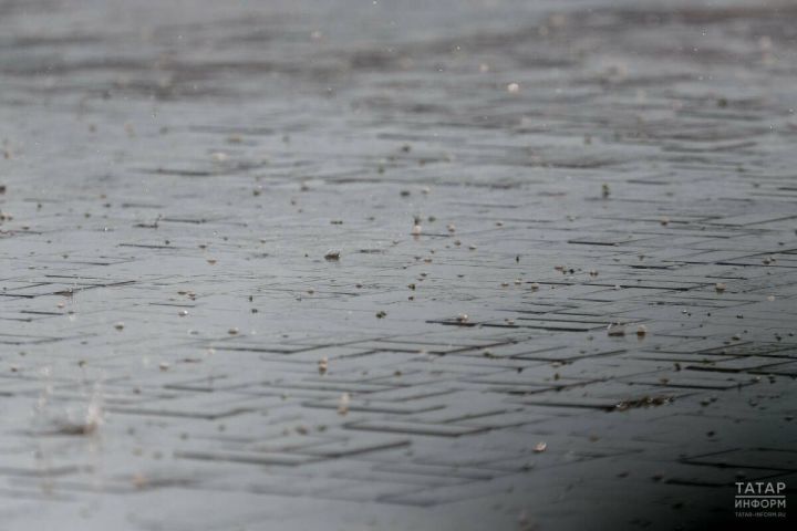 Дождь и туман прогнозируют в Татарстане 25 ноября