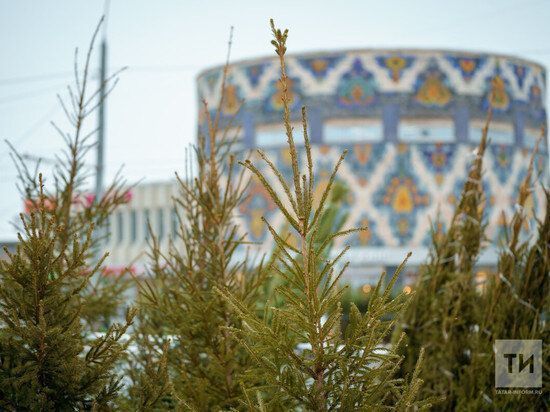 В Татарстане стартовала операция «Ель»