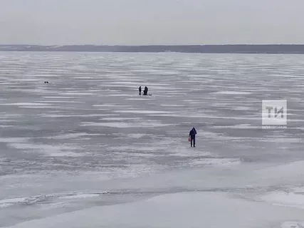 Власти Зеленодольска рассказали детали истории спасения провалившегося под лед ребенка