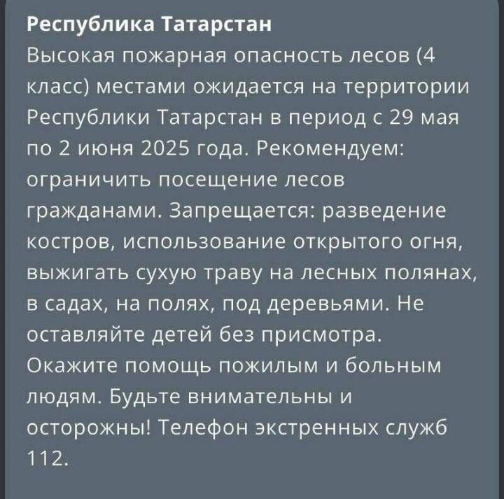 Татарстанцев предупредили о высокой пожароопасности лесов