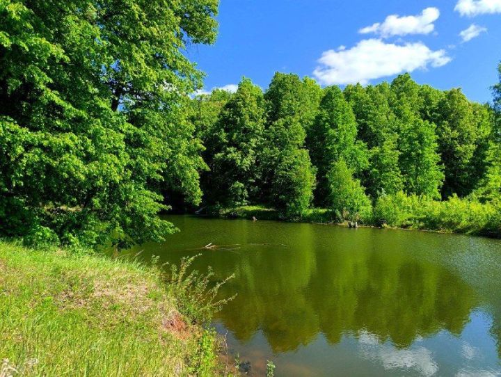 В Татарстане прогнозируют до +29 градусов