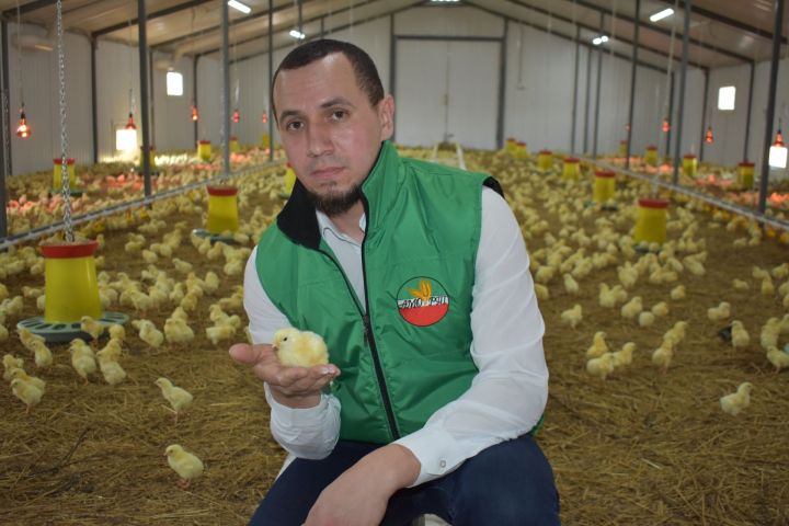 Путь к успеху фермера из Кушман