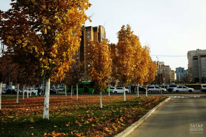 В Татарстане после ночных заморозков столбики термометров не поднимутся выше +10 градусов
