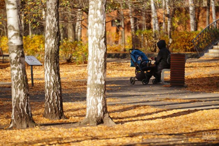 Россиядә бала карау өчен түләнә торган «больничный» вакытын 30 көнгә арттырачаклар