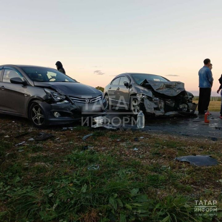 Водитель и младенец-пассажир «Лады» погибли в ДТП на трассе в РТ
