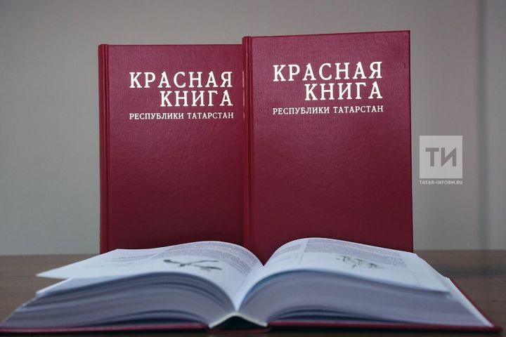Исторический шаг в охране природы: в Татарстане переиздали первую Красную книгу на двух языках