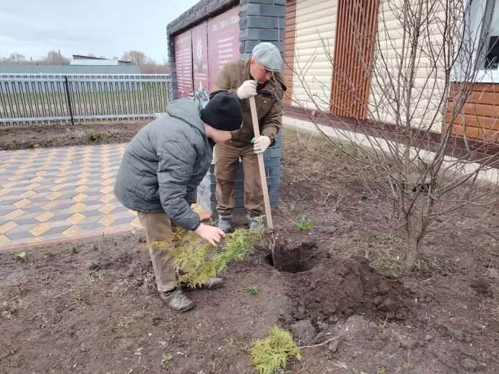 Работники культуры Кушкульского клуба высадили молодые туи рядом с мемориалом участникам Великой Отечественной войны