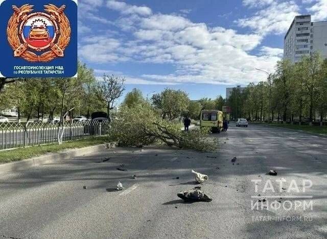 19-летний водитель легковушки снес деревья и забор на проспекте в Челнах